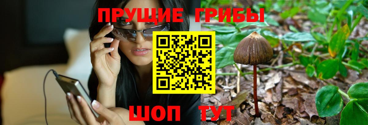 Псилоцибиновые грибы MAGIC MUSHROOMS Белебей